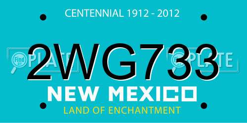 2WG733 New Mexico License Plate