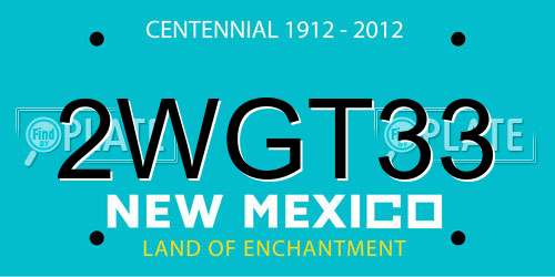 2WGT33 New Mexico License Plate
