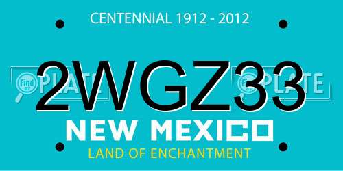 2WGZ33 New Mexico License Plate