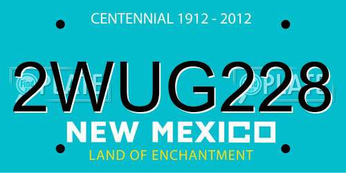 2WUG228 New Mexico License Plate