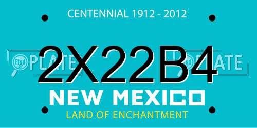 2X22B4 New Mexico License Plate