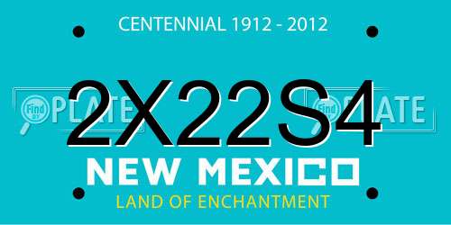 2X22S4 New Mexico License Plate
