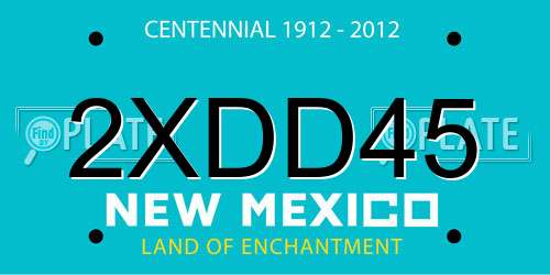 2XDD45 New Mexico License Plate