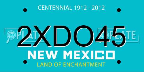 2XDO45 New Mexico License Plate