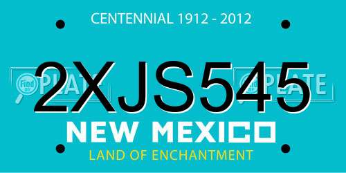 2XJS545 New Mexico License Plate