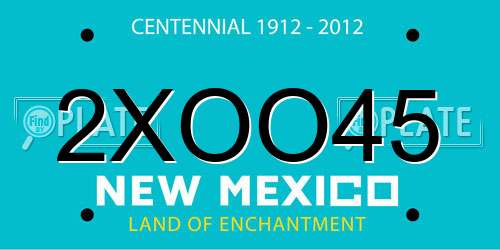 2XOO45 New Mexico License Plate