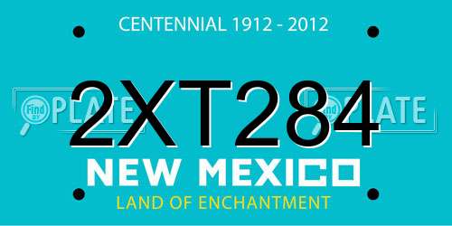 2XT284 New Mexico License Plate
