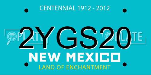 2YGS20 New Mexico License Plate