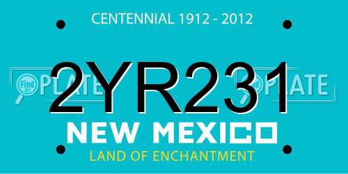 2YR231 New Mexico License Plate