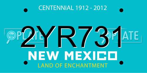 2YR731 New Mexico License Plate