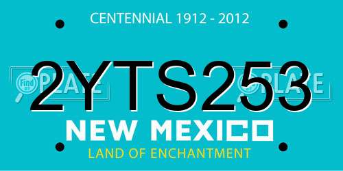 2YTS253 New Mexico License Plate