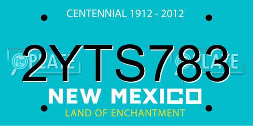 2YTS783 New Mexico License Plate