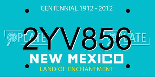 2YV856 New Mexico License Plate