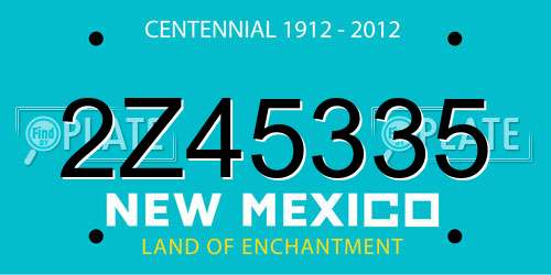 2Z45335 New Mexico License Plate