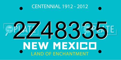 2Z48335 New Mexico License Plate