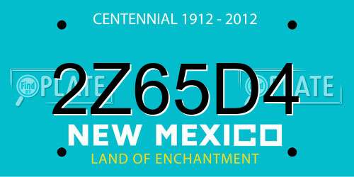 2Z65D4 New Mexico License Plate