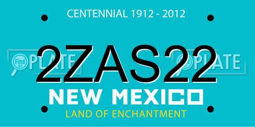 2ZAS22 New Mexico License Plate