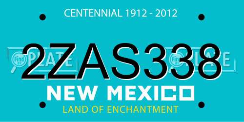 2ZAS338 New Mexico License Plate