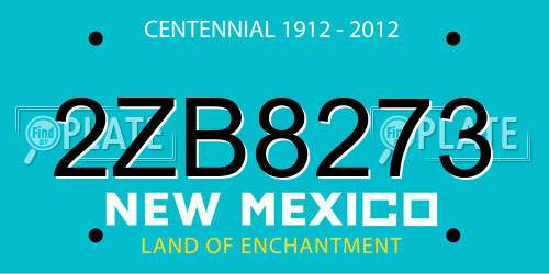 2ZB8273 New Mexico License Plate