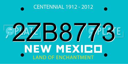 2ZB8773 New Mexico License Plate