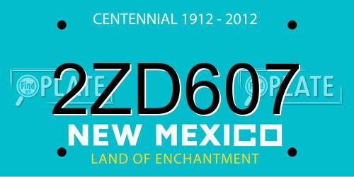 2ZD607 New Mexico License Plate