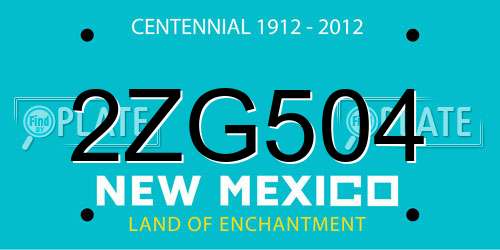 2ZG504 New Mexico License Plate