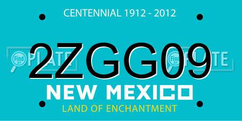 2ZGG09 New Mexico License Plate