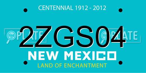 2ZGS04 New Mexico License Plate