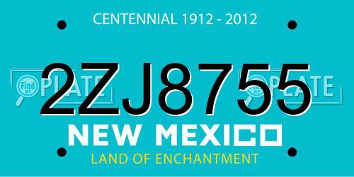 2ZJ8755 New Mexico License Plate