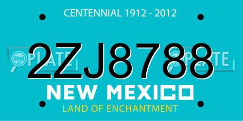 2ZJ8788 New Mexico License Plate