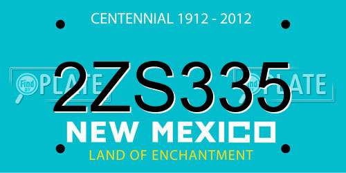 2ZS335 New Mexico License Plate