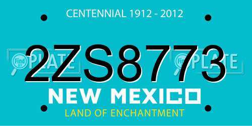 2ZS8773 New Mexico License Plate