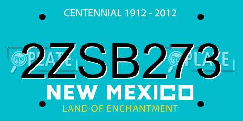 2ZSB273 New Mexico License Plate