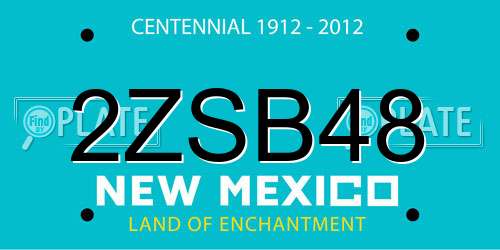 2ZSB48 New Mexico License Plate