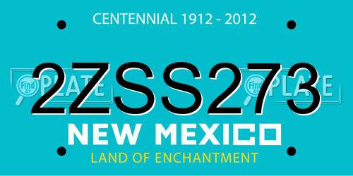 2ZSS273 New Mexico License Plate