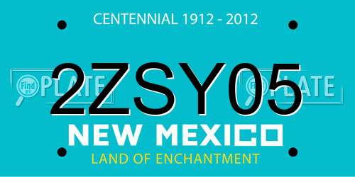 2ZSY05 New Mexico License Plate