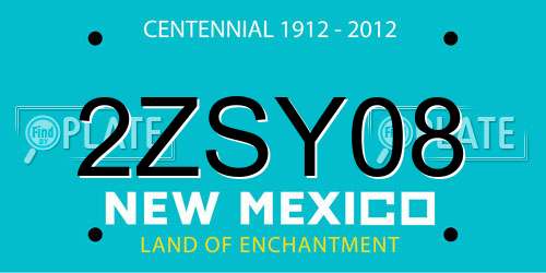 2ZSY08 New Mexico License Plate