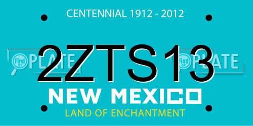 2ZTS13 New Mexico License Plate