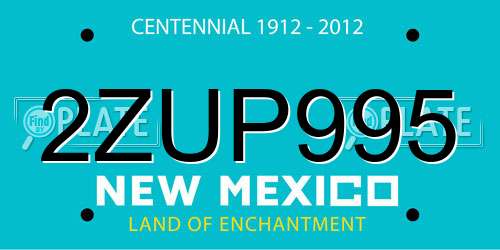2ZUP995 New Mexico License Plate