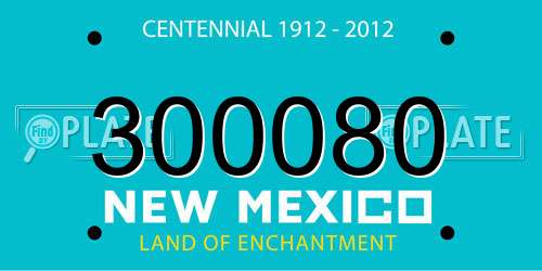 300080 New Mexico License Plate