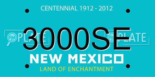 3000SE New Mexico License Plate