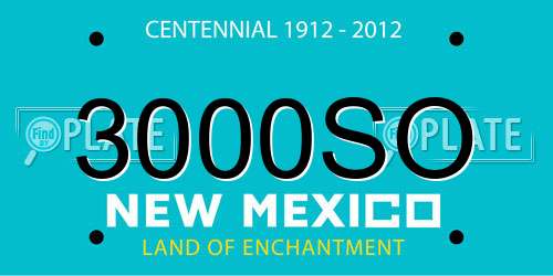 3000SO New Mexico License Plate