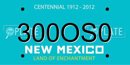 300OS0 New Mexico License Plate
