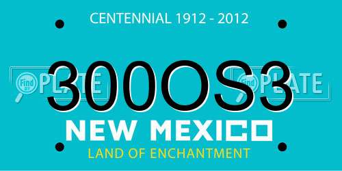 300OS3 New Mexico License Plate