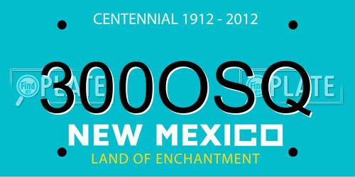 300OSQ New Mexico License Plate