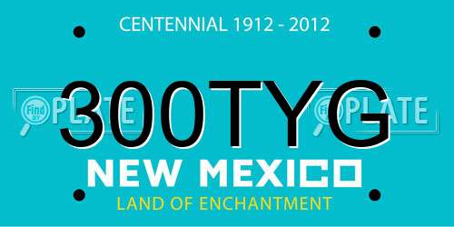 300TYG New Mexico License Plate