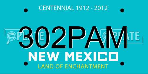 302PAM New Mexico License Plate