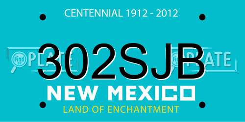 302SJB New Mexico License Plate