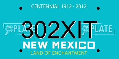 302XIT New Mexico License Plate