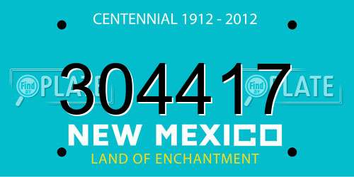 304417 New Mexico License Plate